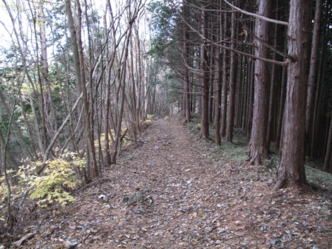 20171116hike (232)